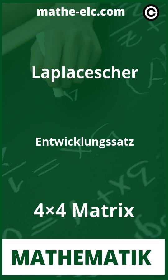 Laplacescher Entwicklungssatz 4×4 Matrix Aufgaben PDF
