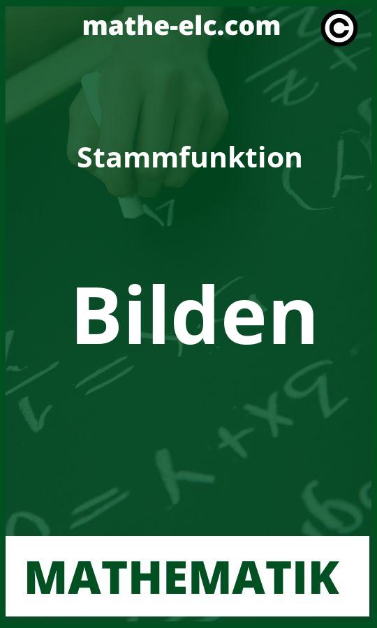 Stammfunktion bilden Aufgaben PDF